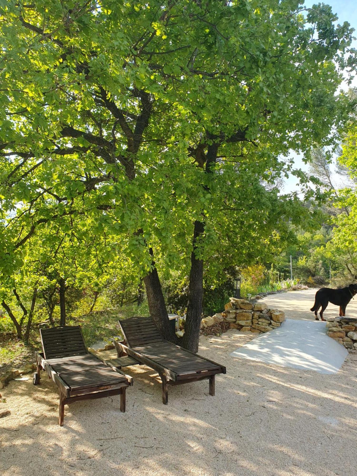 Le Soleil Du Ventoux Villa Entrechaux Dış mekan fotoğraf
