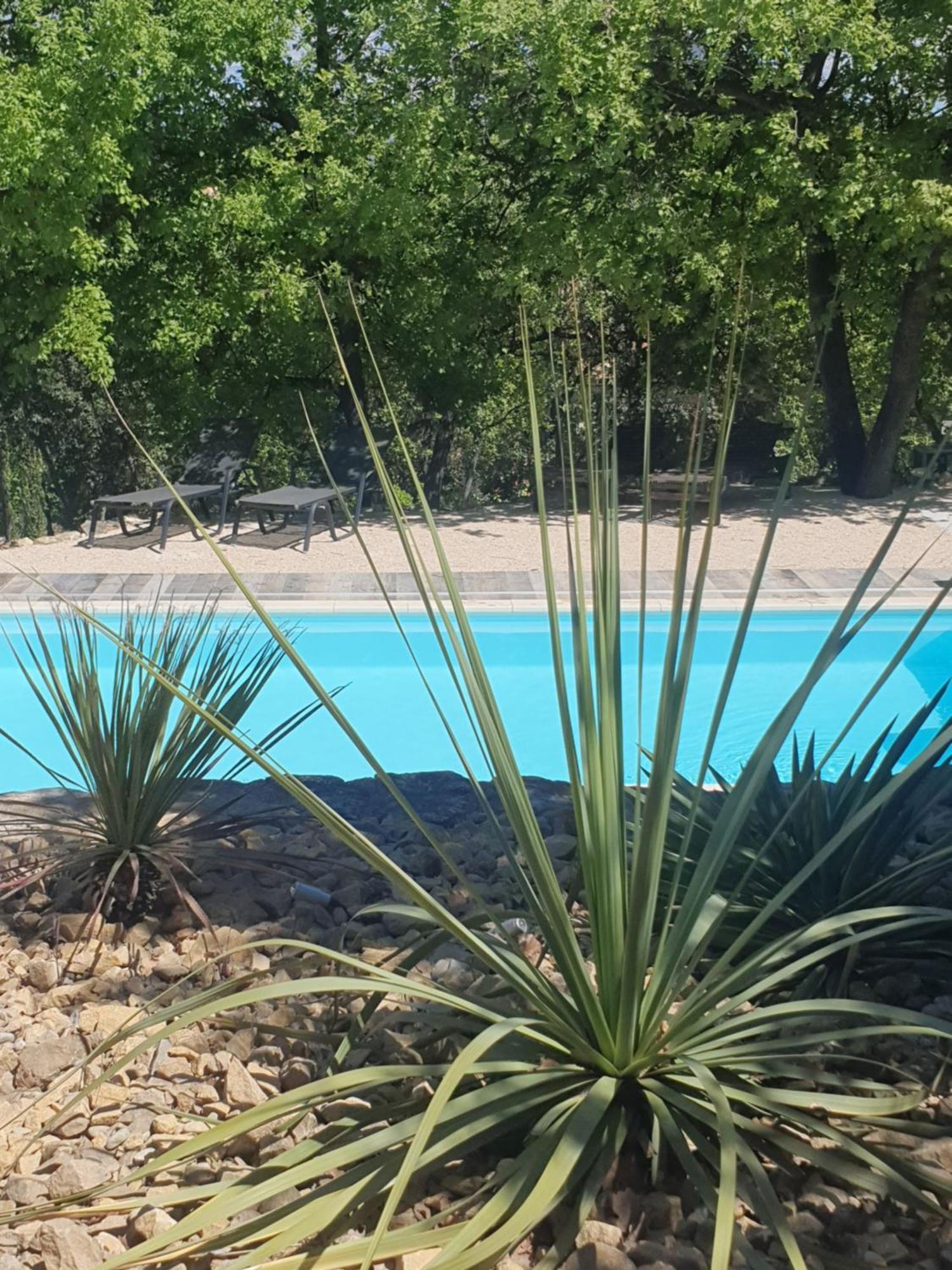 Le Soleil Du Ventoux Villa Entrechaux Dış mekan fotoğraf